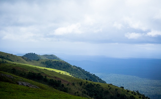 添无穷的动 添无穷的动