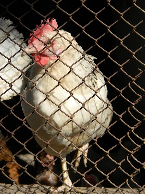 也充满无限 也充满无限