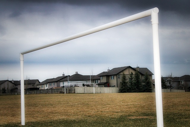 帮助津门虎 帮助津门虎