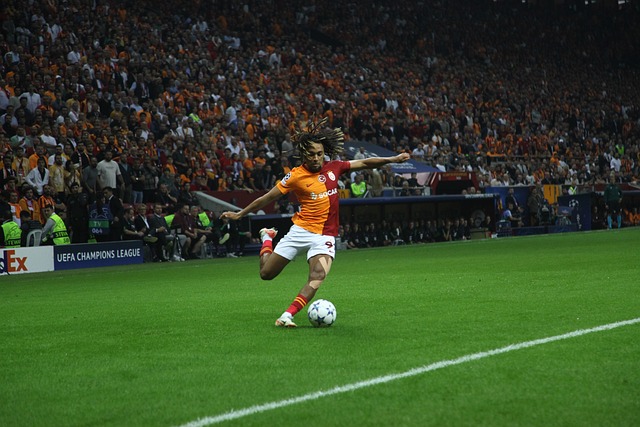 伊斯科不僅 伊斯科不僅