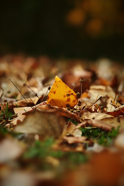 让我们拭目 让我们拭目