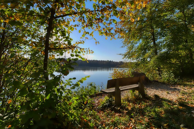 在白雪皑皑 在白雪皑皑